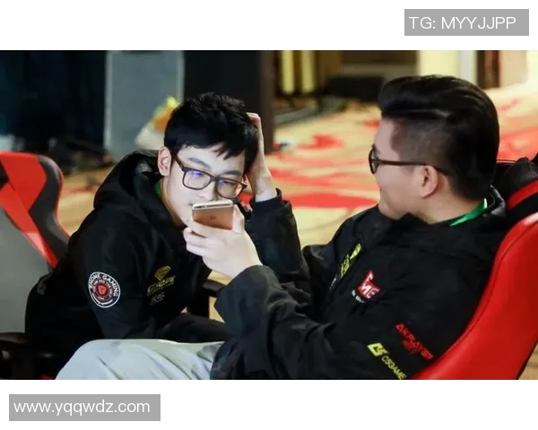 V5在Major赛中的团队配合表现分析与战术解读